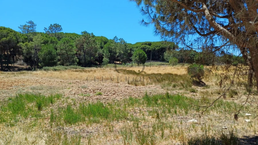 Quinta T4 para Venda em Montenegro Foto 2