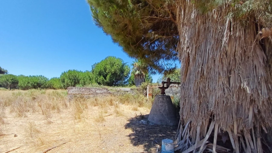 Quinta T4 para Venda em Montenegro Foto 4