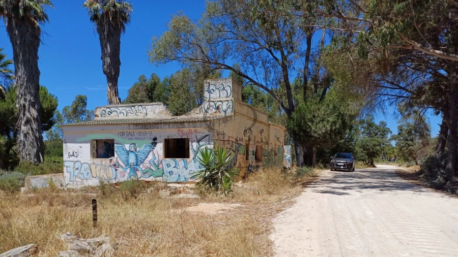 Quinta T4 para Venda em Montenegro Foto 5