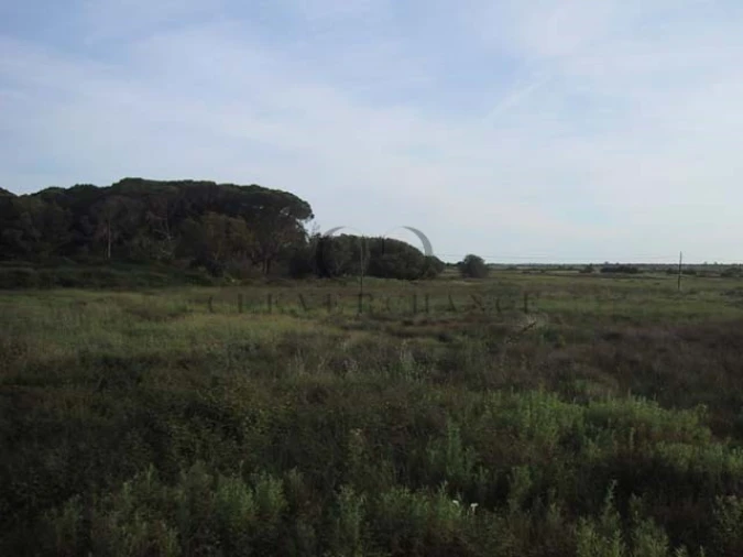 Quinta T4 para Venda em Montenegro Foto 7