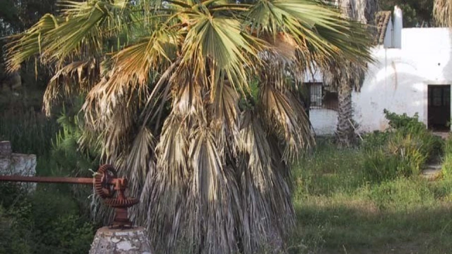 Quinta T4 para Venda em Montenegro Foto 8