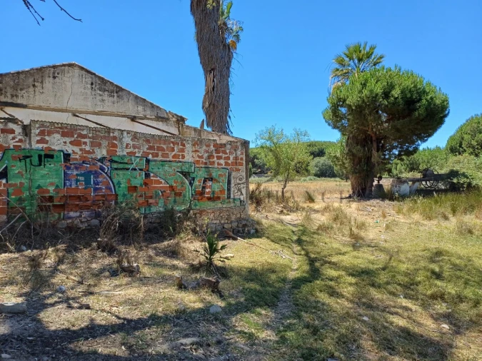 Quinta T4 para Venda em Montenegro Foto 11