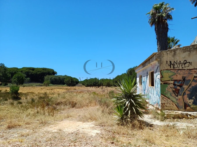 Quinta T4 para Venda em Montenegro Foto 14