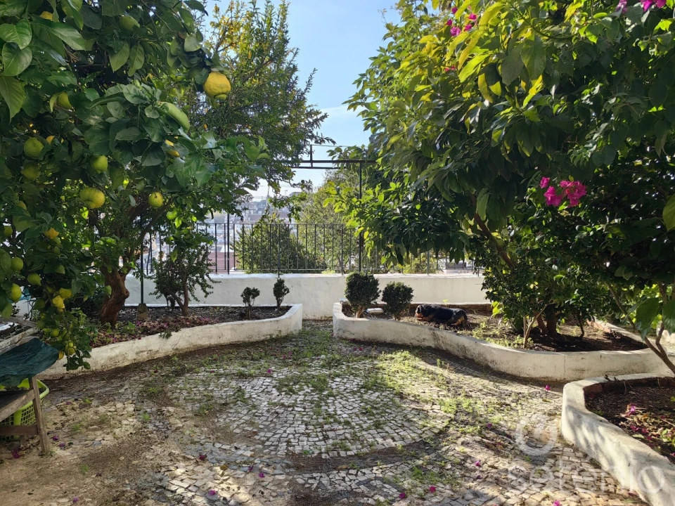 Apartamento T3 para Venda em Santa Maria Maior Foto 1