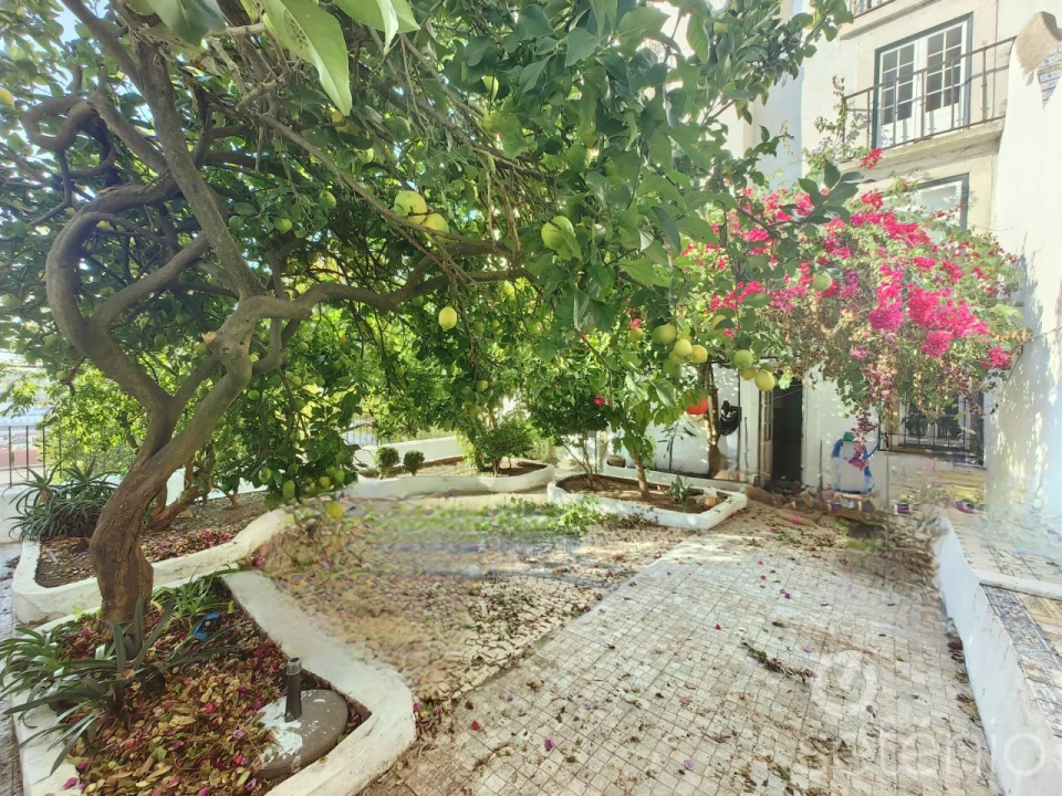 Apartamento T3 para Venda em Santa Maria Maior Foto 16