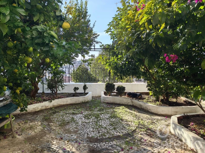 Apartamento T3 para Venda em Santa Maria Maior