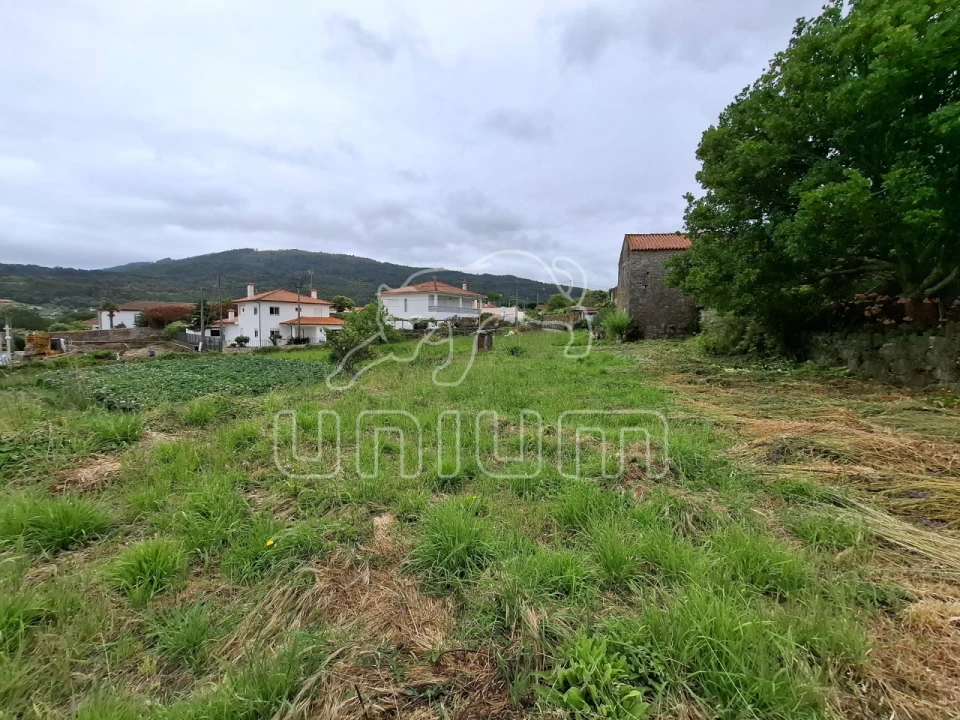 Terreno para Venda em Ancora Foto 5