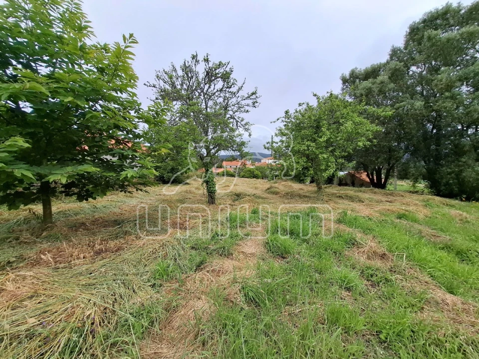 Terreno para Venda em Ancora Foto 7