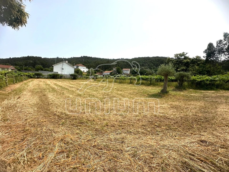 Terreno Agricola ou Rústico para Venda em Vila Franca Foto 1