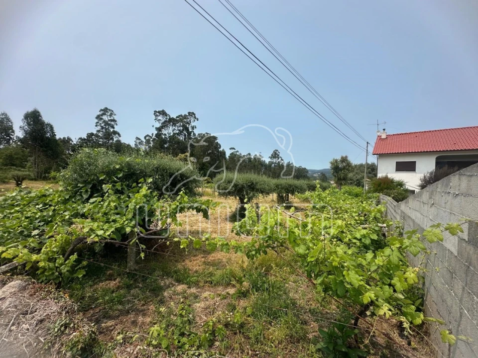 Terreno Agricola ou Rústico para Venda em Vila Franca Foto 5