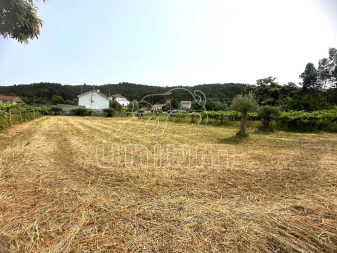 Terreno Agricola ou Rústico para Venda em Vila Franca