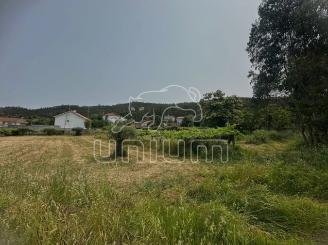 Terreno Agricola ou Rústico para Venda em Vila Franca Foto 2