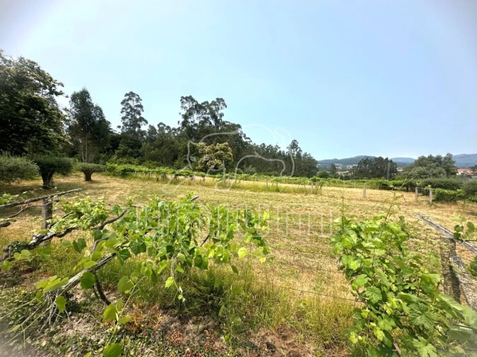 Terreno Agricola ou Rústico para Venda em Vila Franca Foto 4