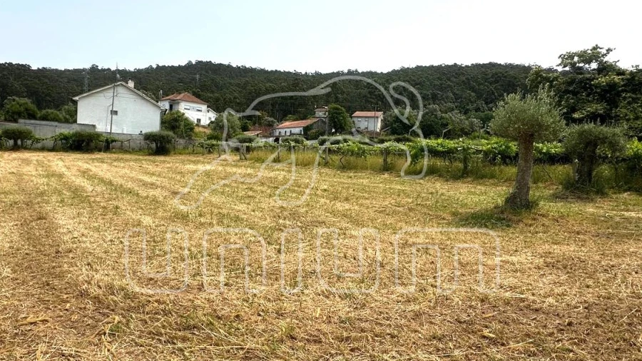 Terreno Agricola ou Rústico para Venda em Vila Franca