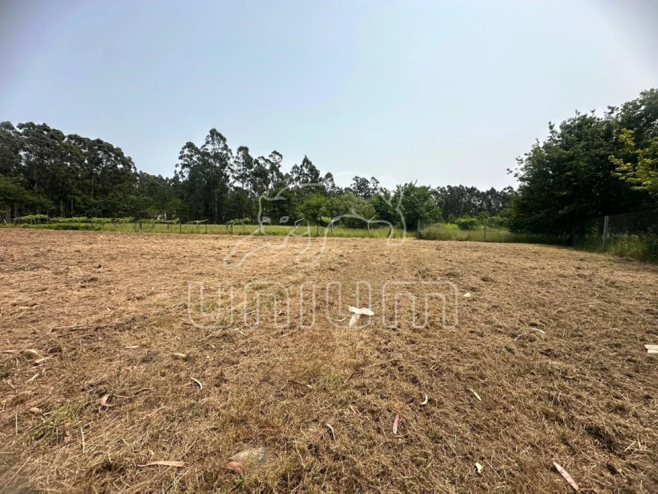 Terreno Agricola ou Rústico para Venda em Alvarães Foto 2