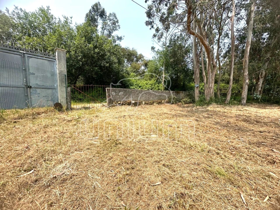 Terreno Agricola ou Rústico para Venda em Alvarães Foto 3
