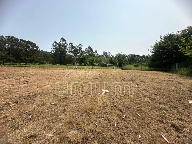Terreno Agricola ou Rústico para Venda em Alvarães Foto 2