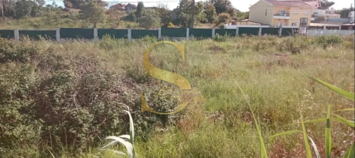 Terreno para Venda em Ajuda Foto 6