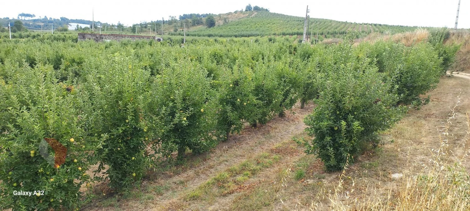 Terreno para Venda em Carrazeda de Ansiães Foto 1
