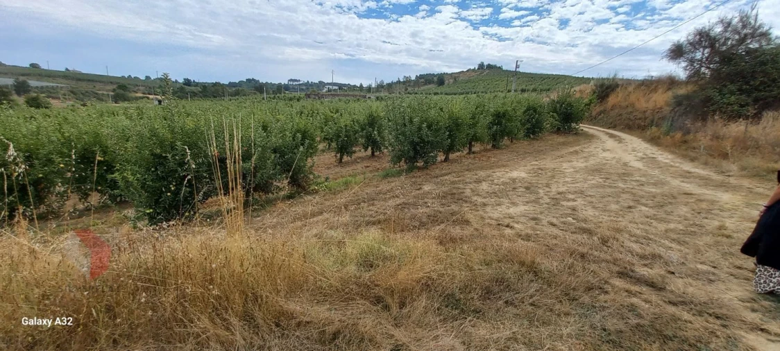 Terreno para Venda em Carrazeda de Ansiães Foto 4