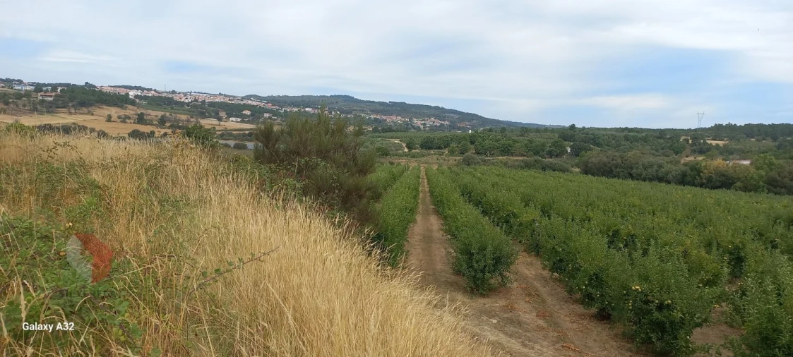 Terreno para Venda em Carrazeda de Ansiães Foto 2
