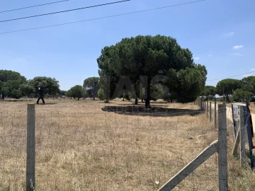 Terreno para Venda em Benavente