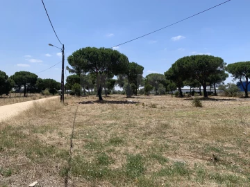 Terreno para Venda em Benavente