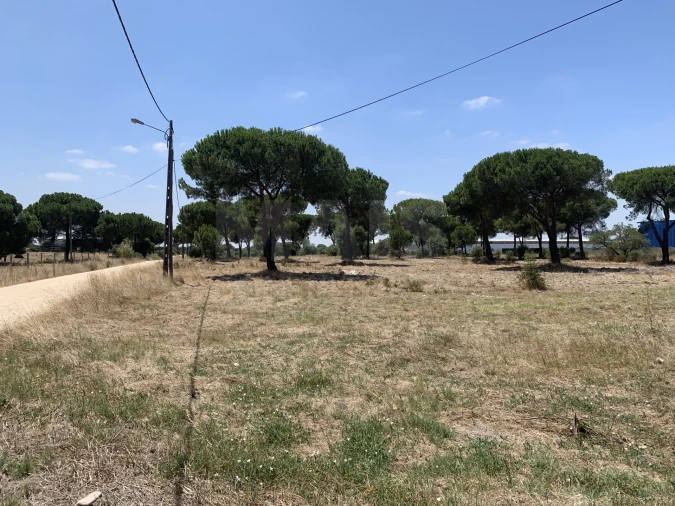 Terreno para Venda em Benavente Foto 3
