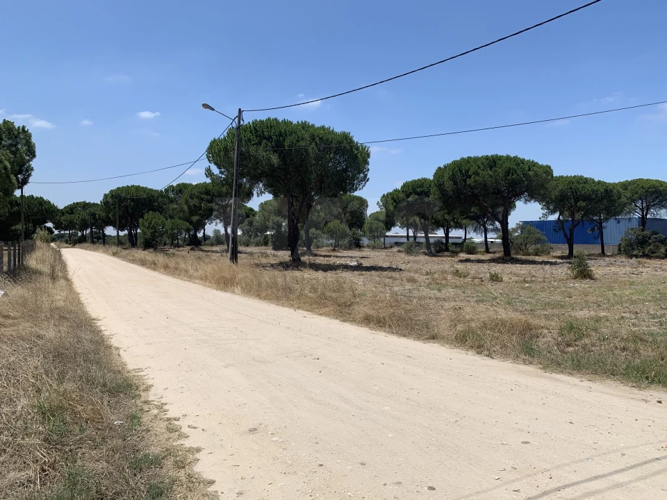 Terreno para Venda em Benavente Foto 4