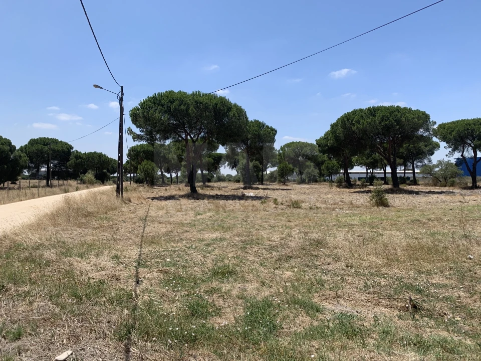 Terreno para Venda em Benavente Foto 3