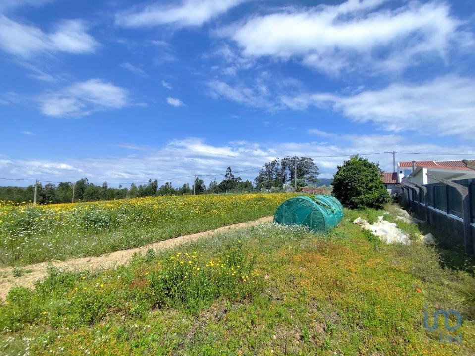Terreno para Venda em Vilar Foto 7