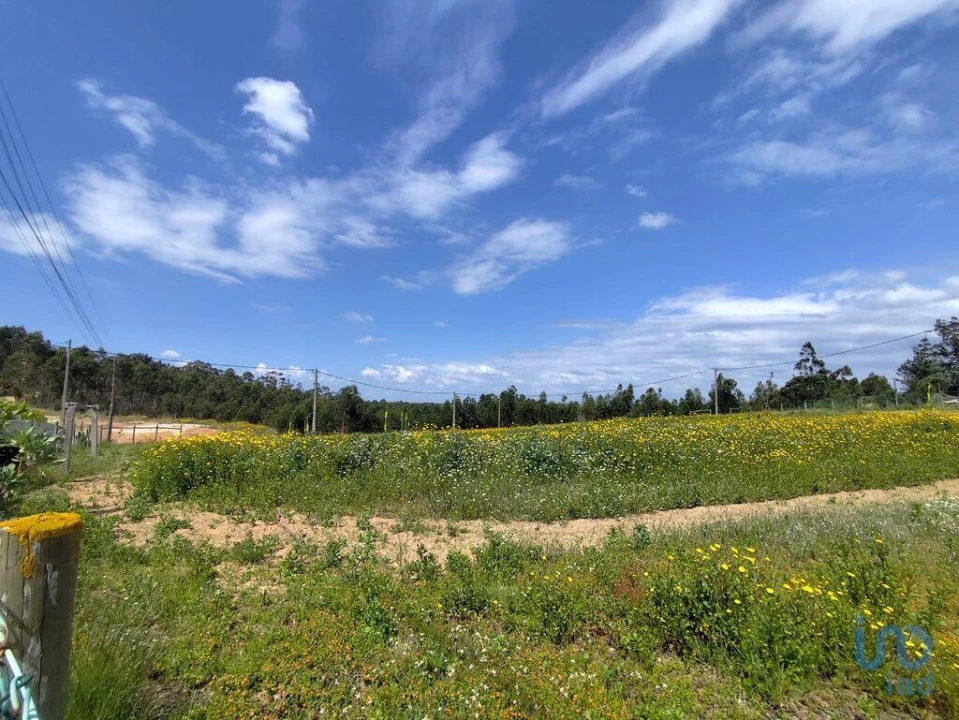 Terreno para Venda em Vilar Foto 4