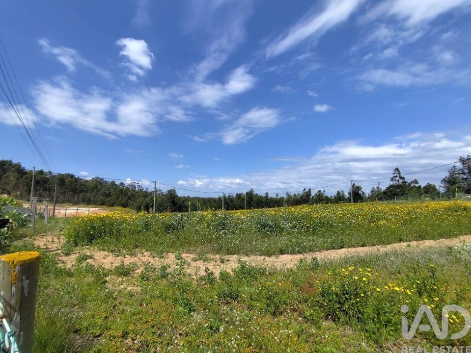 Terreno para Venda em Vilar Foto 20
