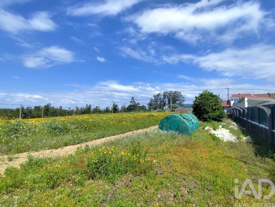 Terreno para Venda em Vilar Foto 17