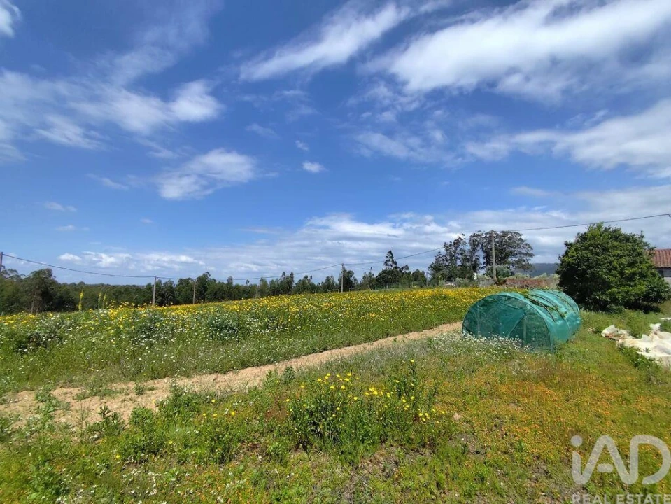 Terreno para Venda em Vilar Foto 19