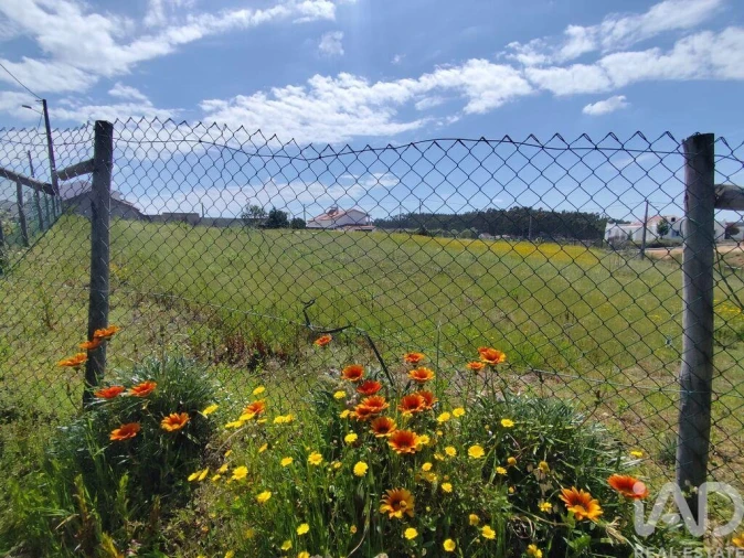 Terreno para Venda em Vilar Foto 9