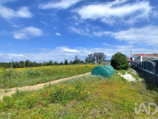 Terreno para Venda em Vilar Foto 23