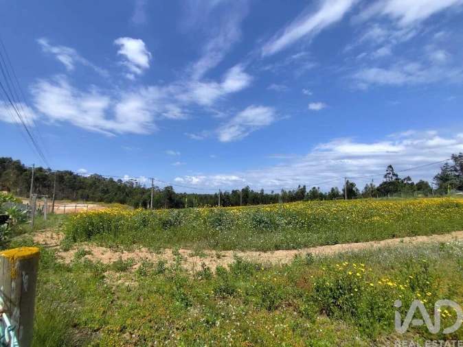 Terreno para Venda em Vilar Foto 20