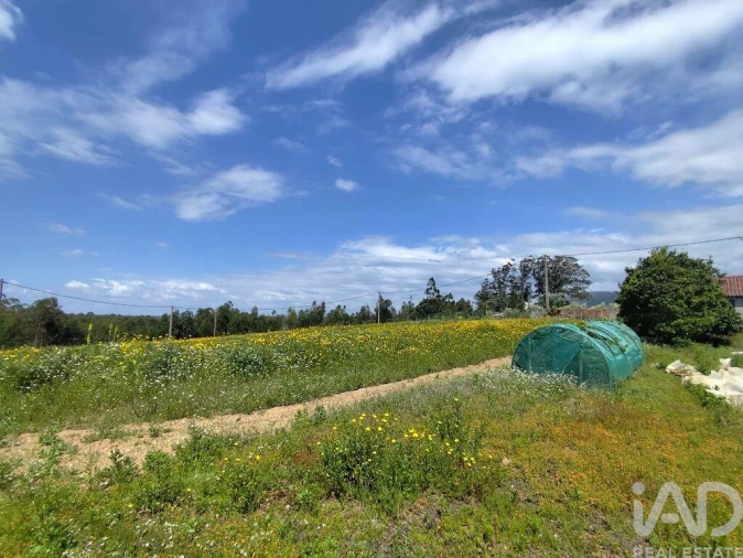 Terreno para Venda em Vilar Foto 19