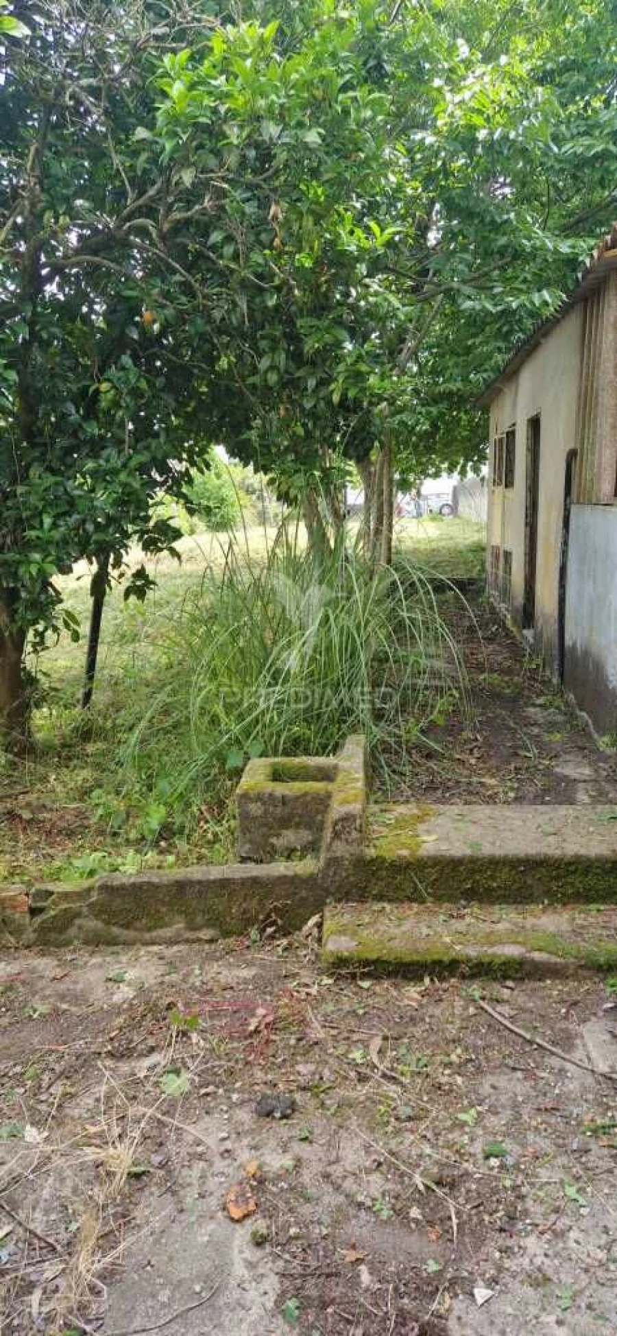 Terreno para Venda em Aguas Santas Foto 7