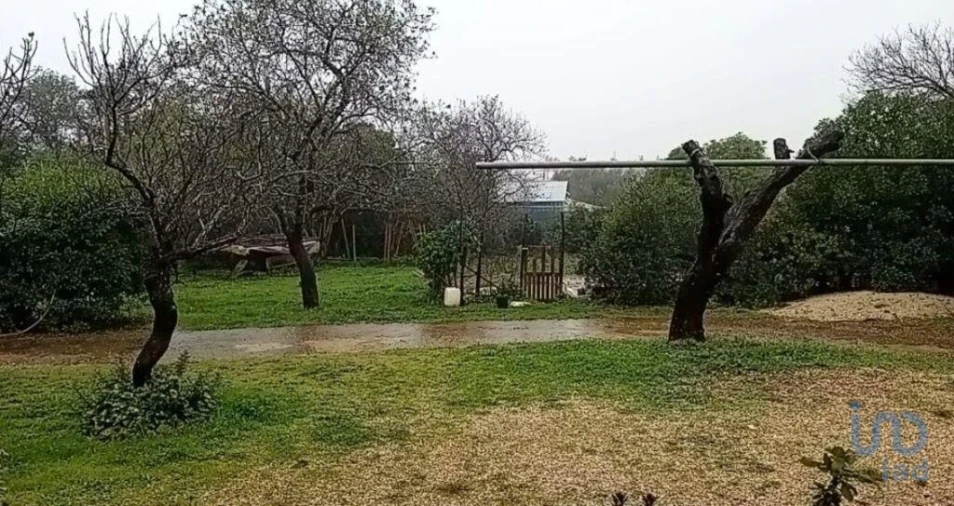 Moradia T5 para Venda em Guia Foto 4