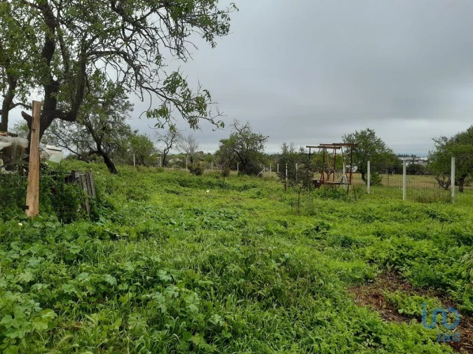 Moradia T5 para Venda em Guia Foto 14