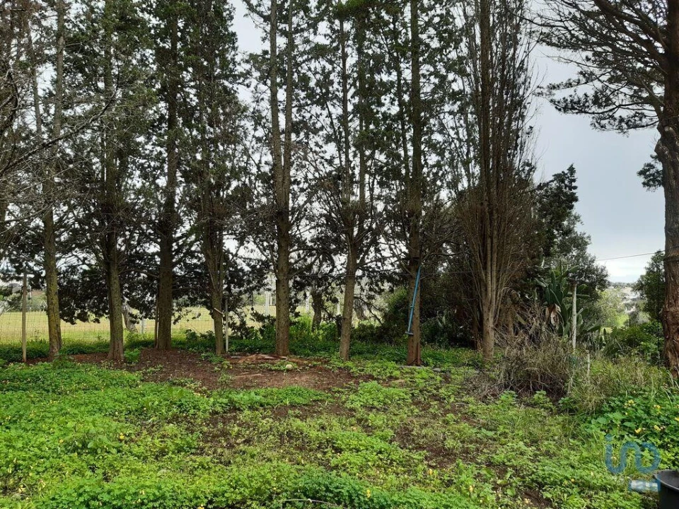 Moradia T5 para Venda em Guia Foto 13