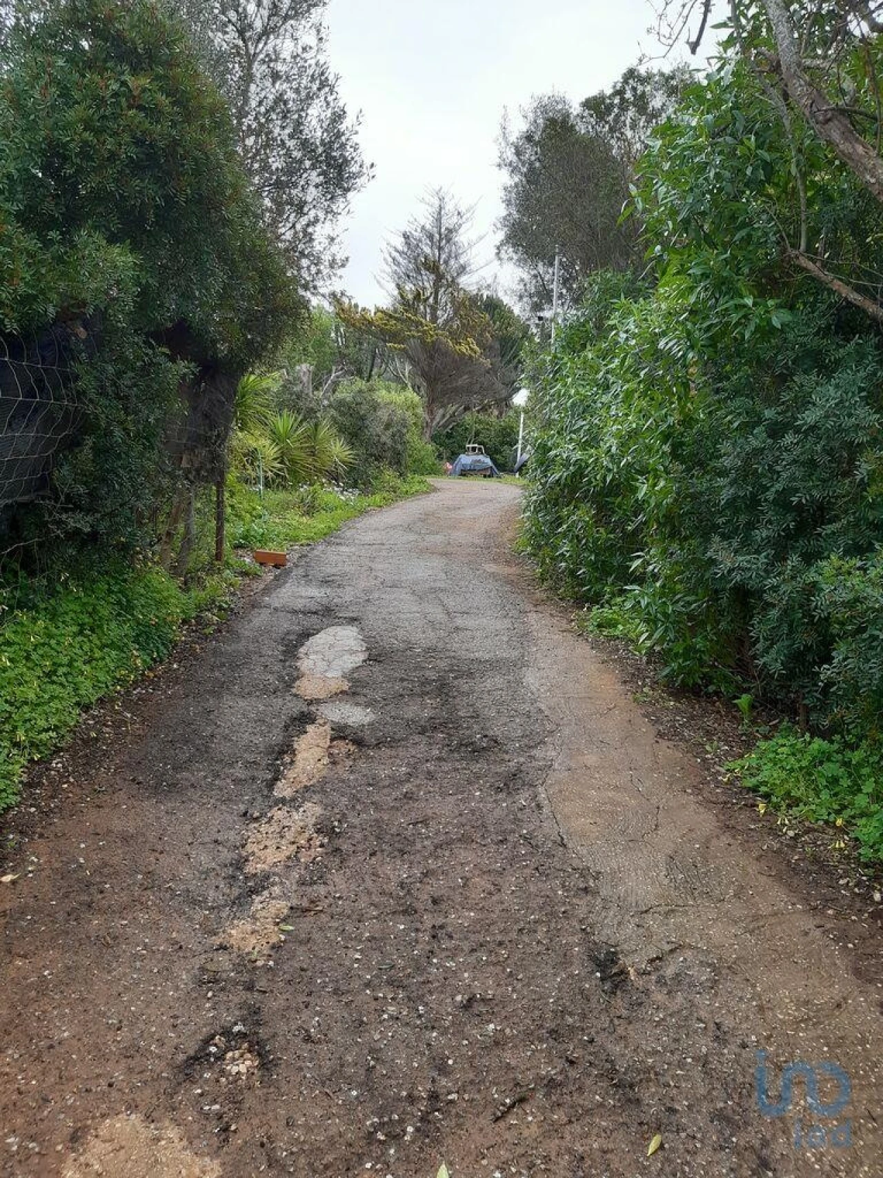 Moradia T5 para Venda em Guia Foto 12