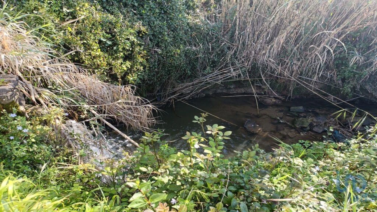 Terreno para Venda em Cela Foto 9