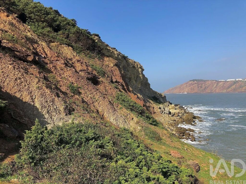 Terreno para Venda em Cela Foto 19