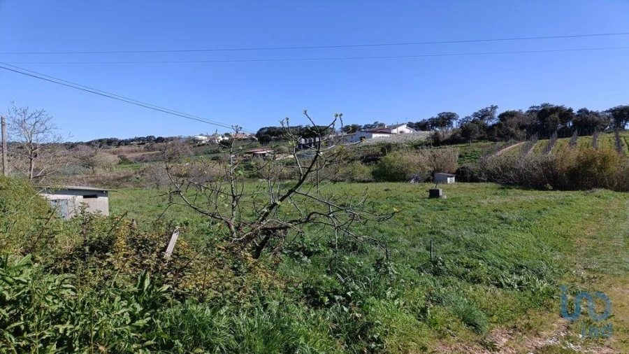 Terreno para Venda em Cela