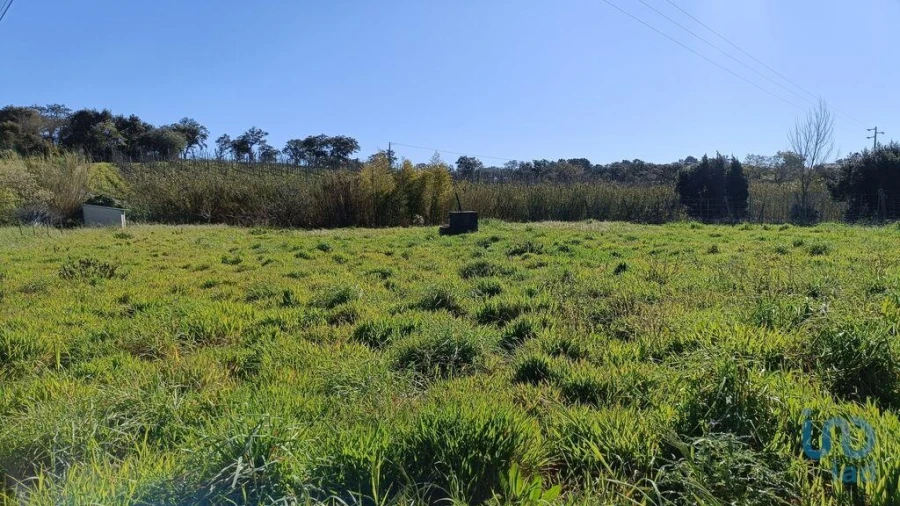Terreno para Venda em Cela Foto 3