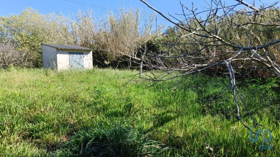Terreno para Venda em Cela Foto 4