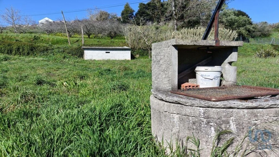 Terreno para Venda em Cela Foto 6